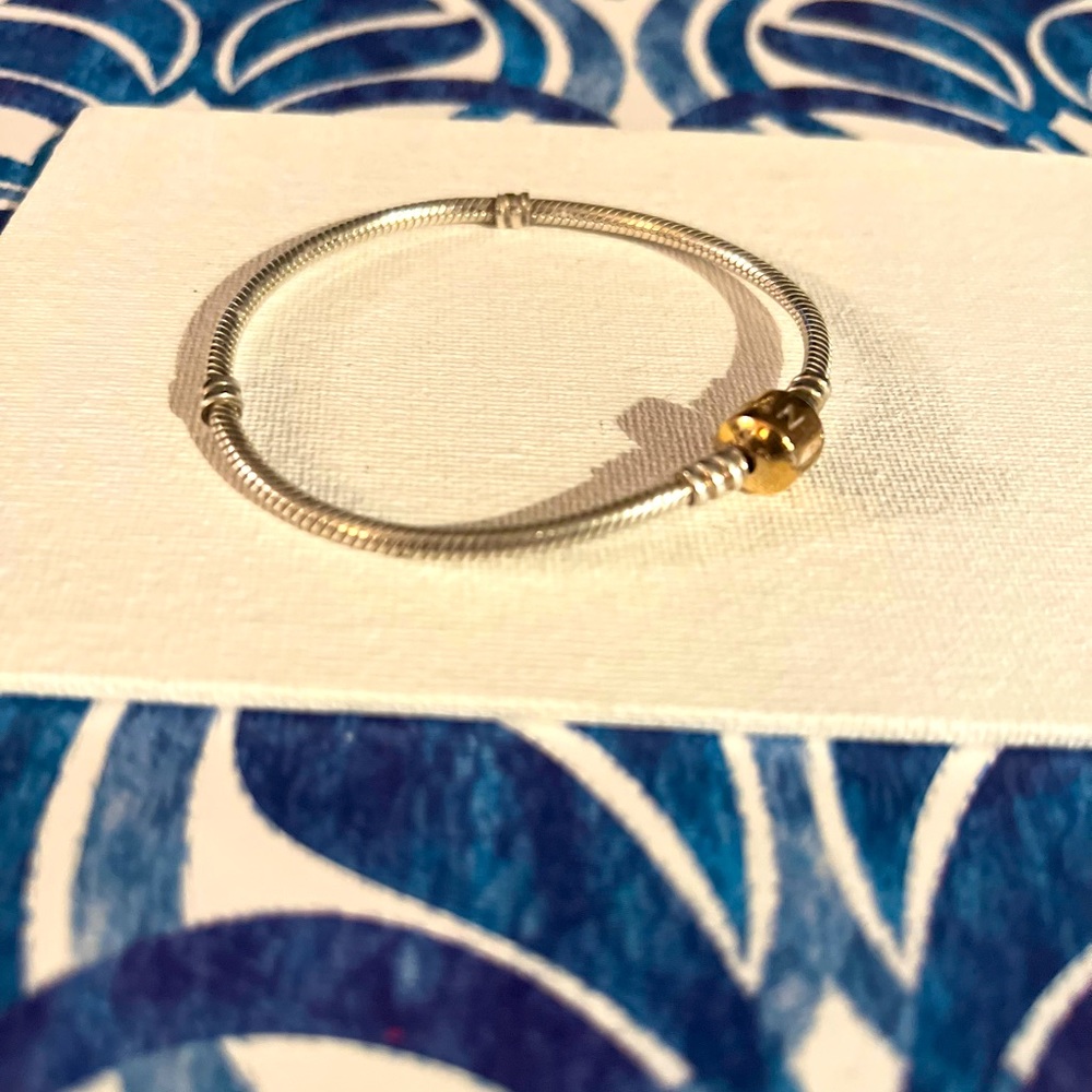 Pandora Moments Mesh Bangle 7 1/2 inches